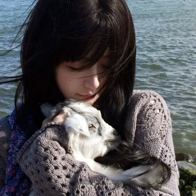 钢木兰 在线观看
